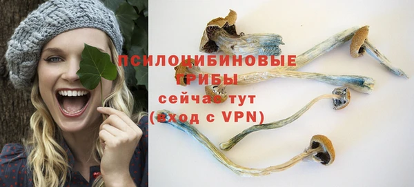 бошки Зеленодольск