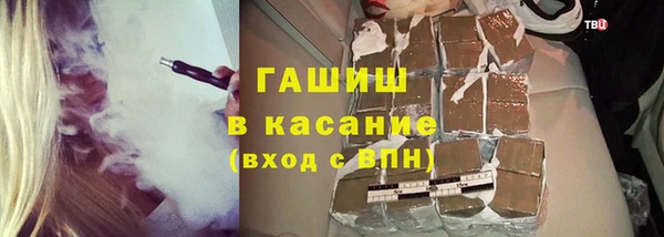 прущие грибы Зеленокумск