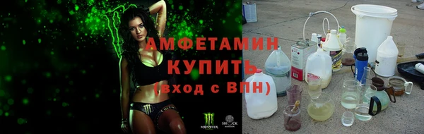 прущие грибы Зеленокумск