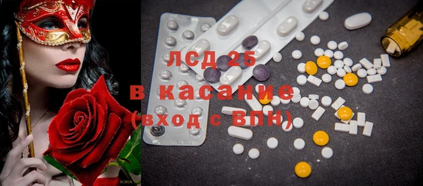 прущие грибы Зеленокумск