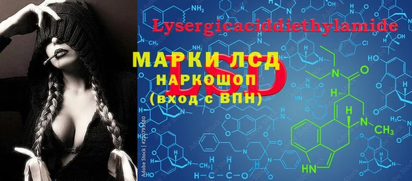прущие грибы Зеленокумск