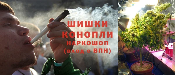 прущие грибы Зеленокумск