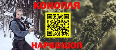 гашик Нарткала