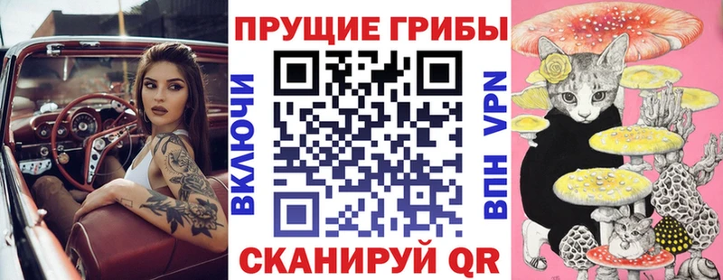 Псилоцибиновые грибы Magic Shrooms  Петропавловск-Камчатский 