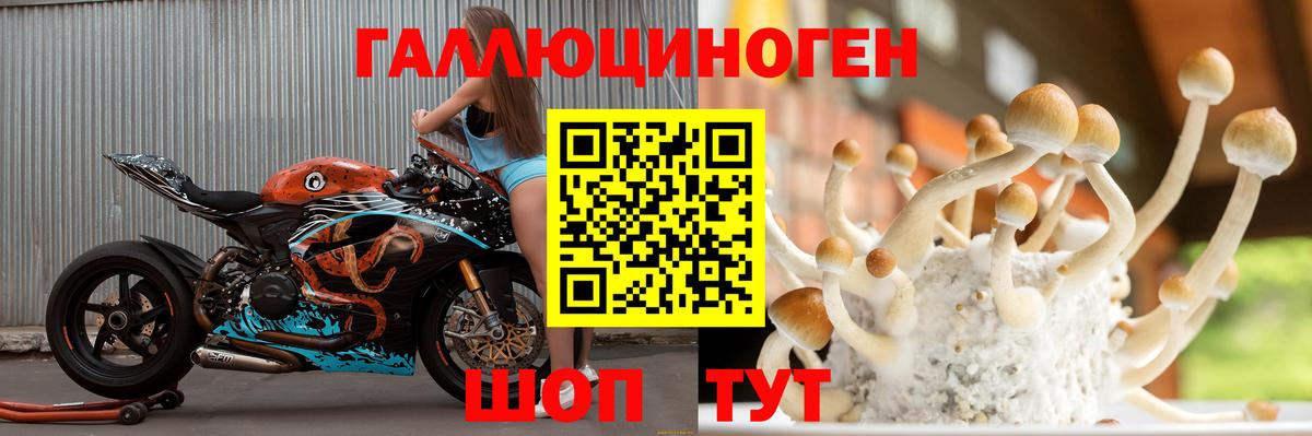 Галлюциногенные грибы MAGIC MUSHROOMS Петропавловск-Камчатский